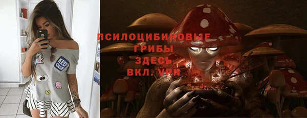 гашик Нязепетровск