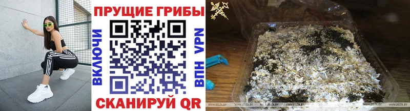 Купить  Апатиты  Псилоцибиновые грибы GOLDEN TEACHER 